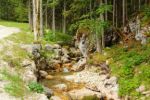2014-07-05_Laengental-N-Hochweg (387). JPG